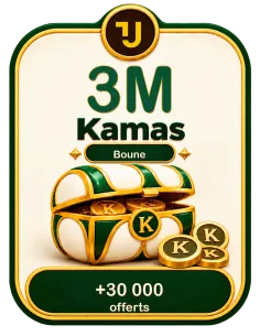 Buy 3M kamas Boune